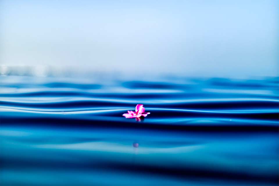 flower-floating-on-water balance - qi gong medicine