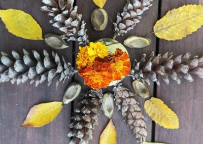 Nature-Based Therapy