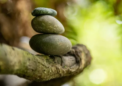 Ayurveda Lifestyle Consultations
